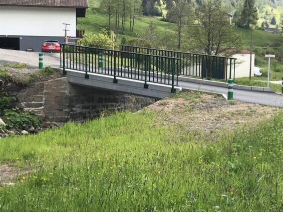 Livio Delot LA BRESSE PONT DE VIGRIME